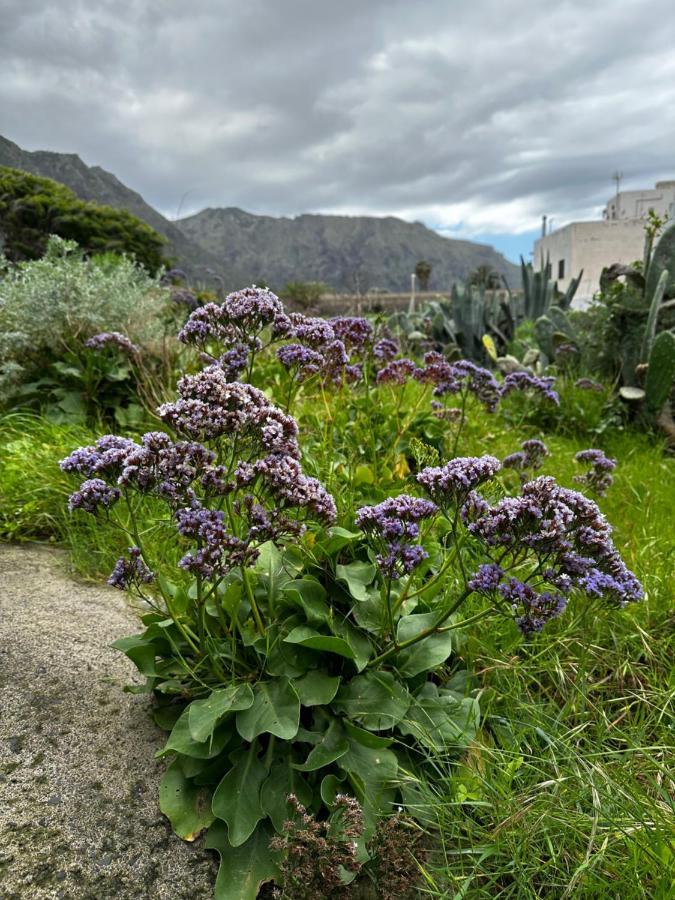Aventura En Buenavista Del Norte Dış mekan fotoğraf